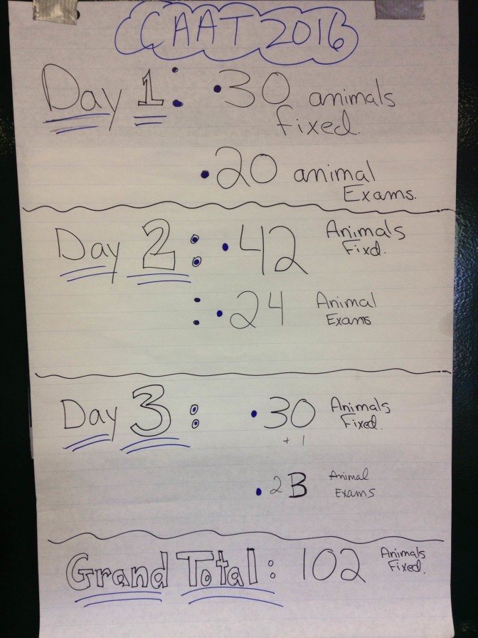 Great Numbers for Fort Saint James - Canadian Animal Assistance Team